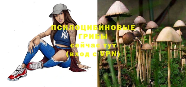 спиды Нефтегорск